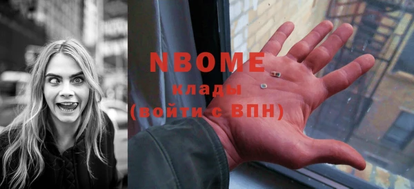 прущие грибы Алзамай