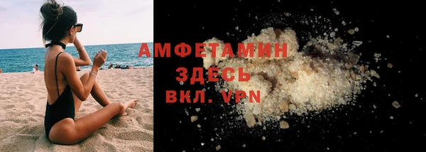 прущие грибы Алзамай