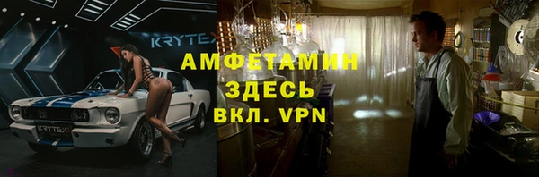 прущие грибы Алзамай
