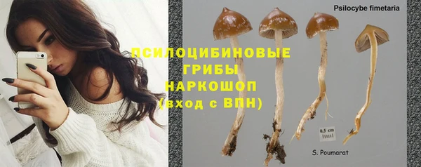 спиды Алексеевка