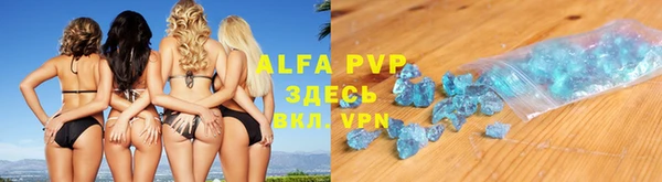 прущие грибы Алзамай