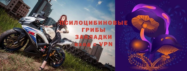 спиды Алексеевка