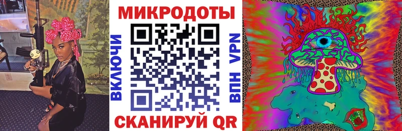 Псилоцибиновые грибы Psilocybine cubensis  Ликино-Дулёво 